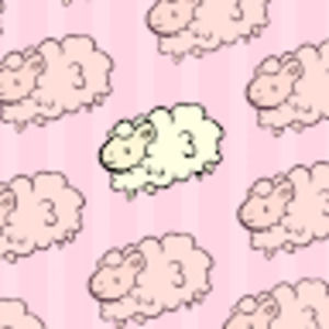 Meet your Posher, Kaitlynn